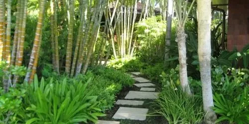 Expert shingle roofing service for residential properties in Kailua-Kona, HI by Mauka Solutions