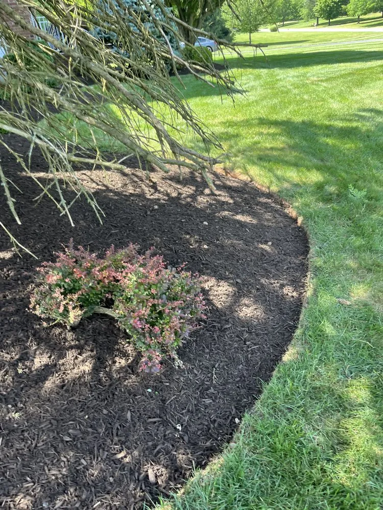 Slide of Mauricio's Construction