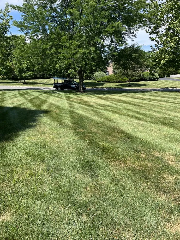 Slide of Mauricio's Construction