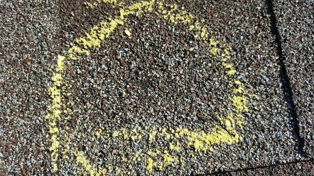 Slide of Maus Construction