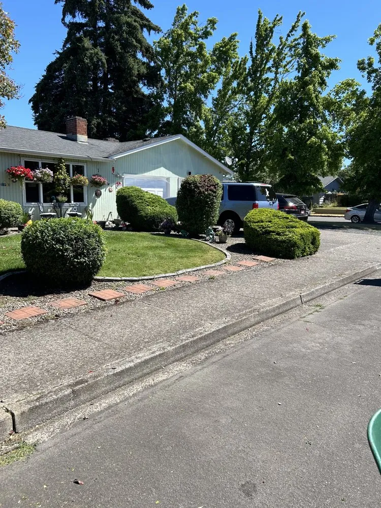 Slide of Maverick Landscaping And Construction