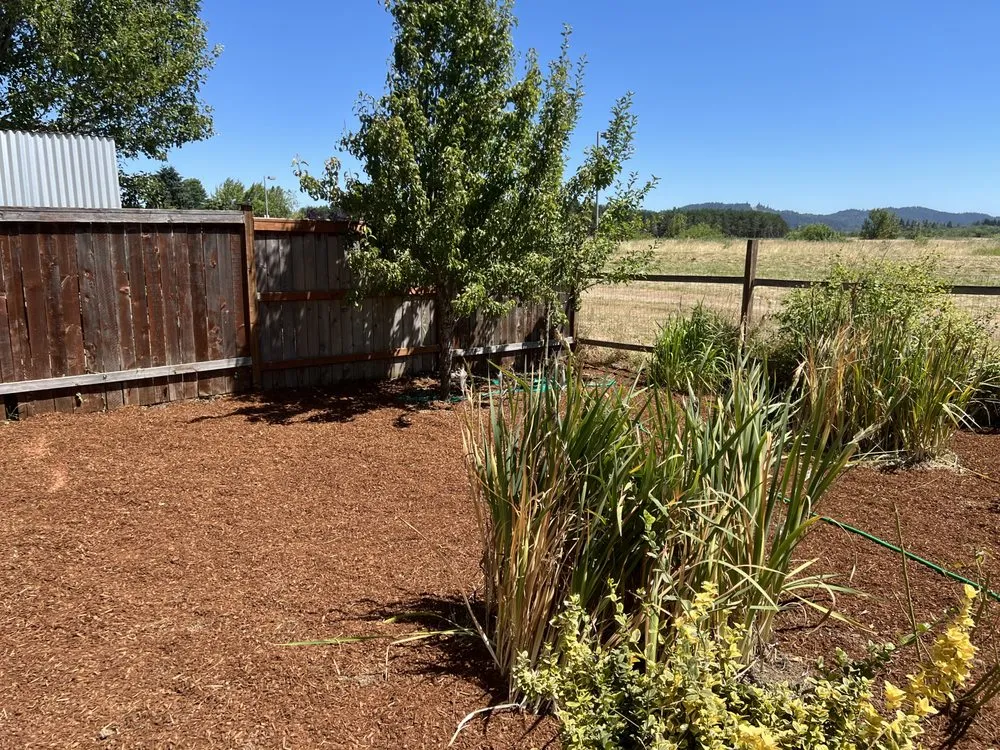 Slide of Maverick Landscaping And Construction