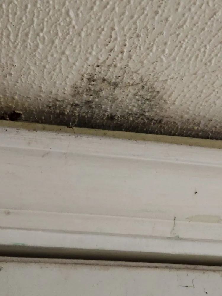 Slide of Max Baxter Roofing