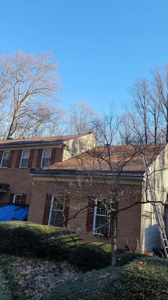 Slide of Max contracting