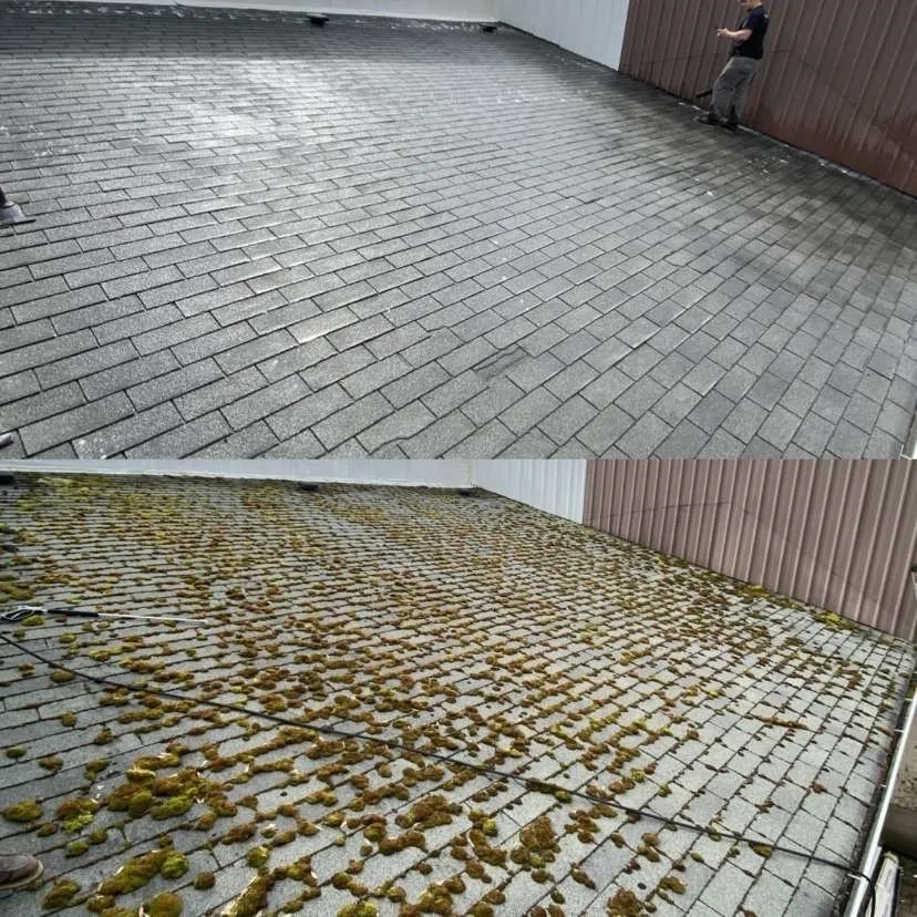 Slide of Max Pro Wash