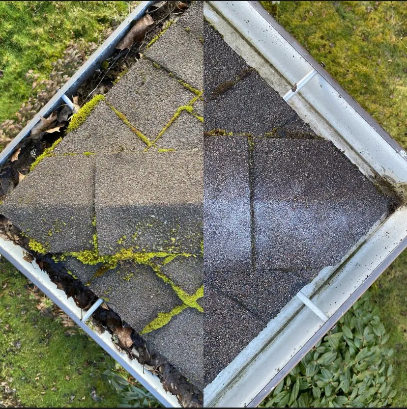 Slide of Max Pro Wash