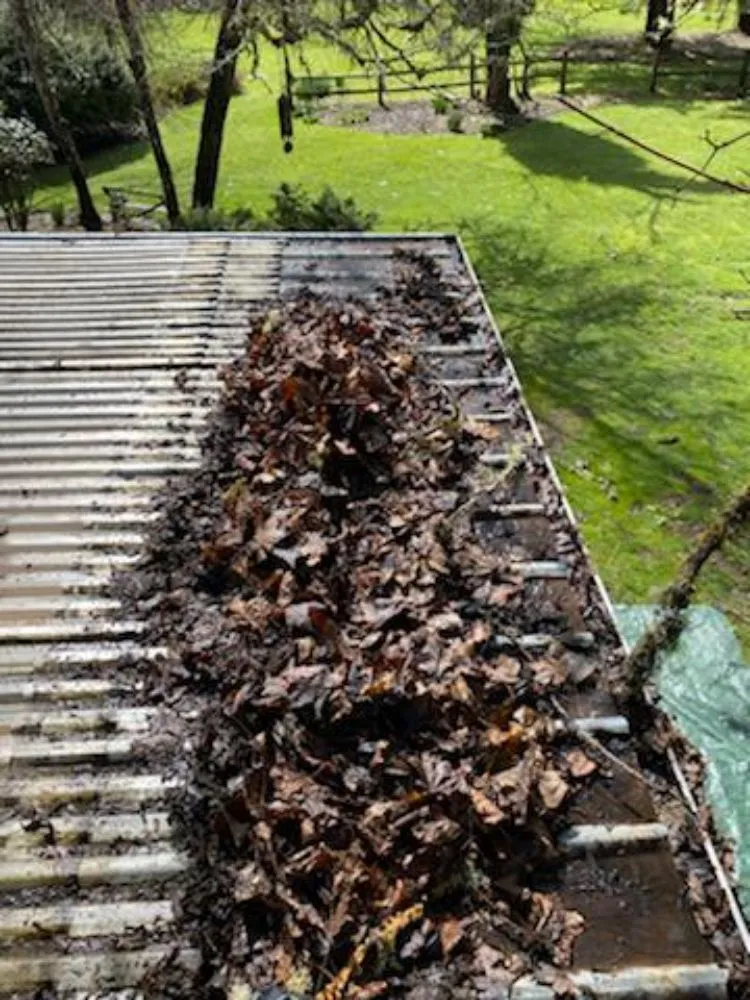 Slide of Max Pro Wash