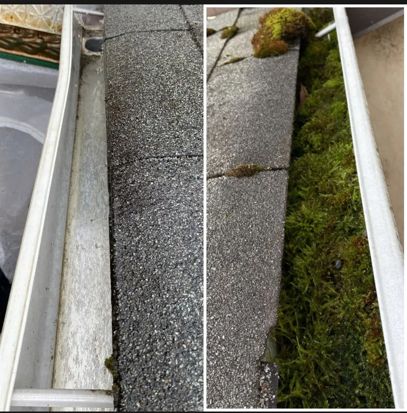 Slide of Max Pro Wash