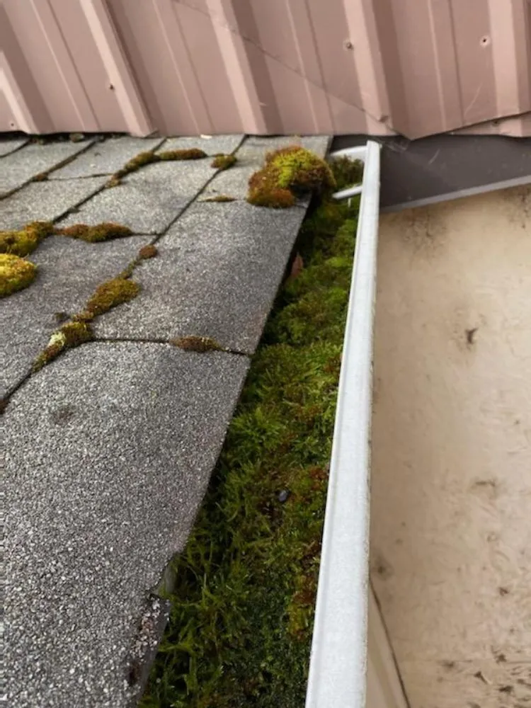 Slide of Max Pro Wash