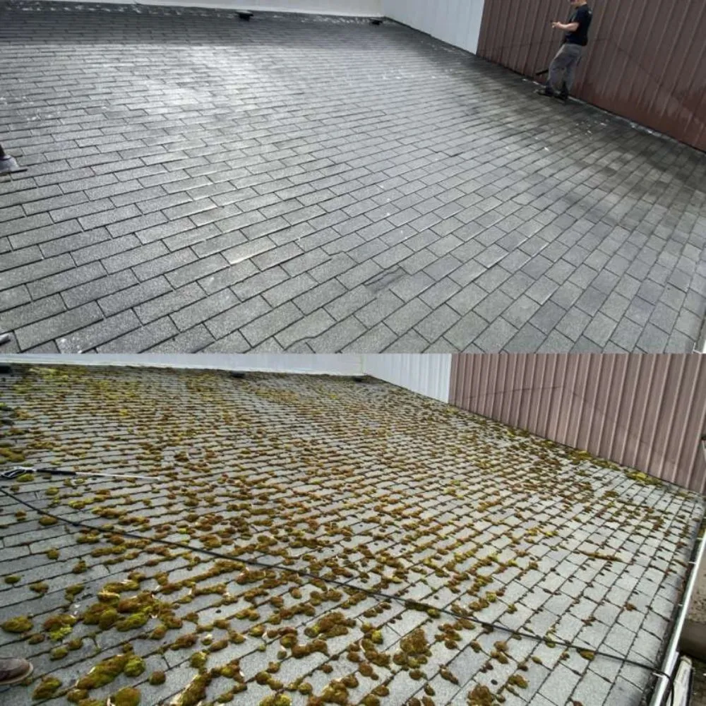 Slide of Max Pro Wash