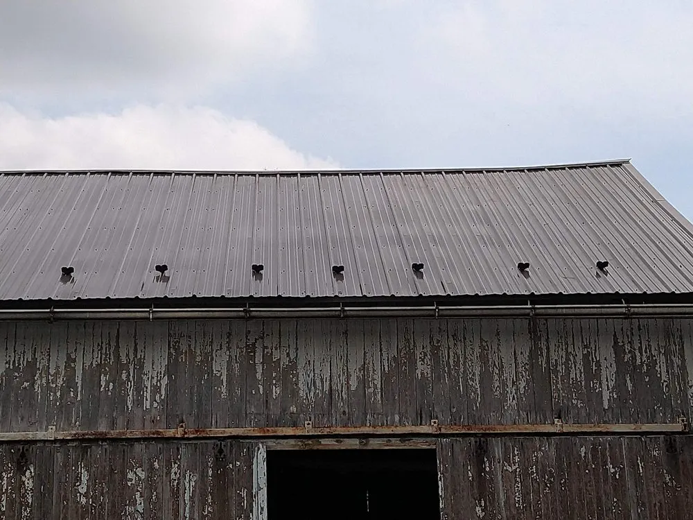 Slide of Max Restoration