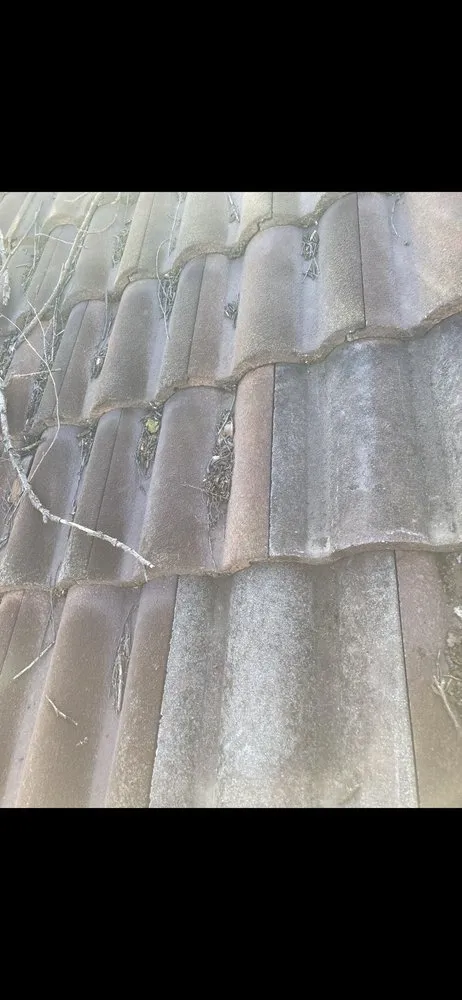 Slide of Maximum Roofing