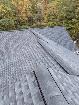 Maxpro Roofing