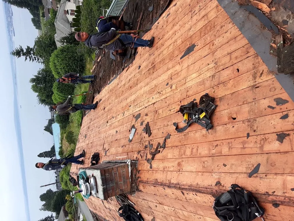 Slide of Maya roofing