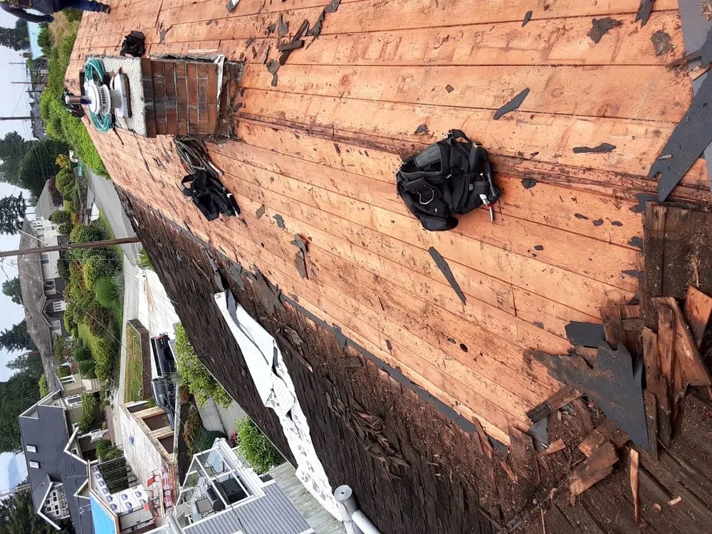 Slide of Maya roofing