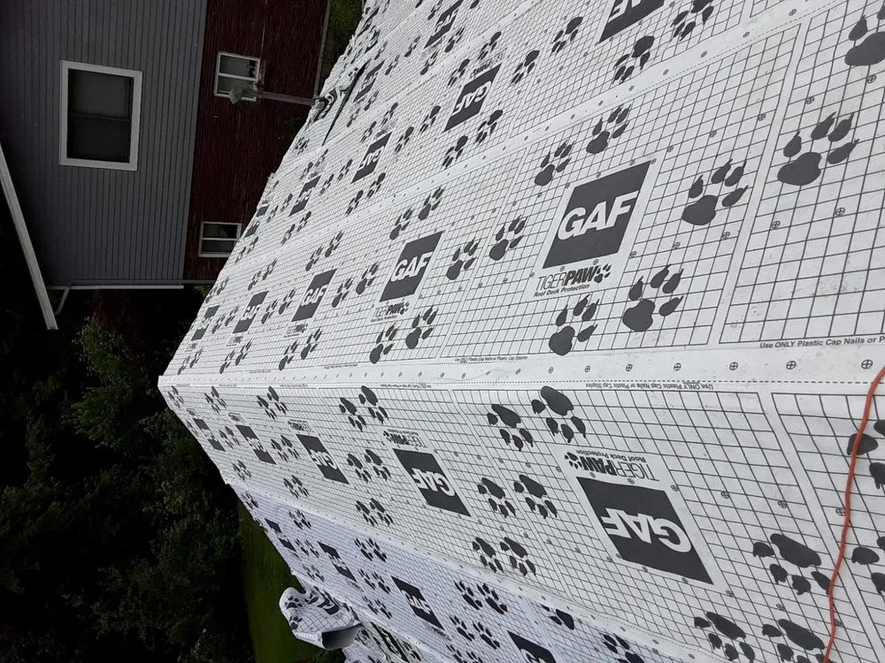 Slide of Maya roofing