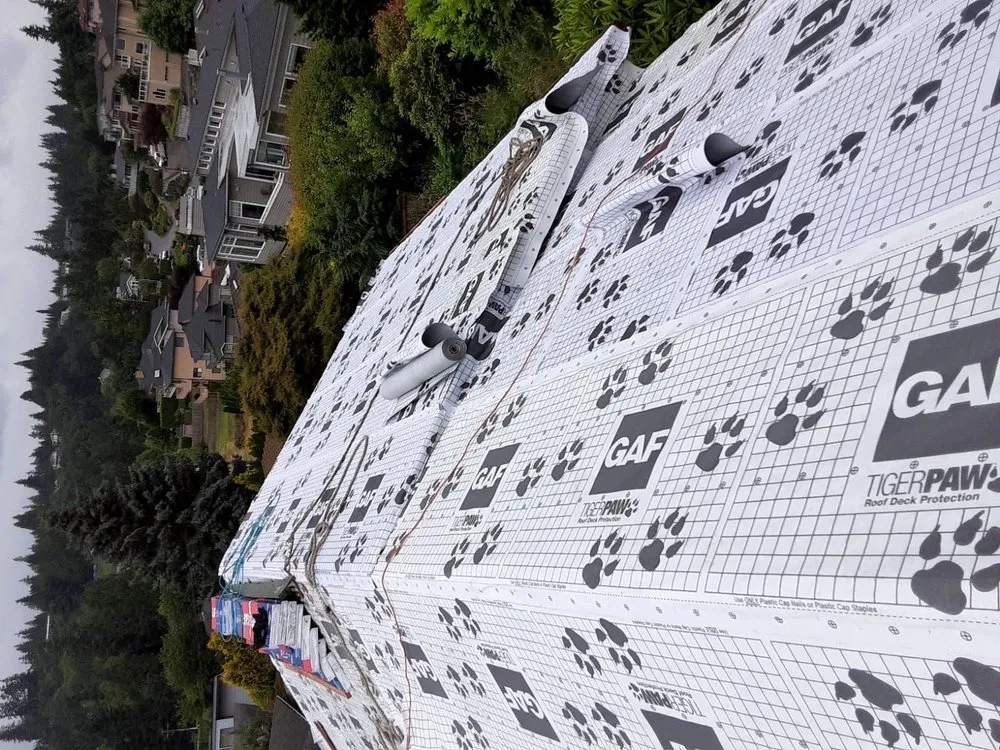 Slide of Maya roofing