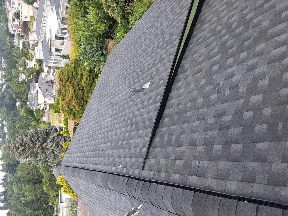 Slide of Maya roofing