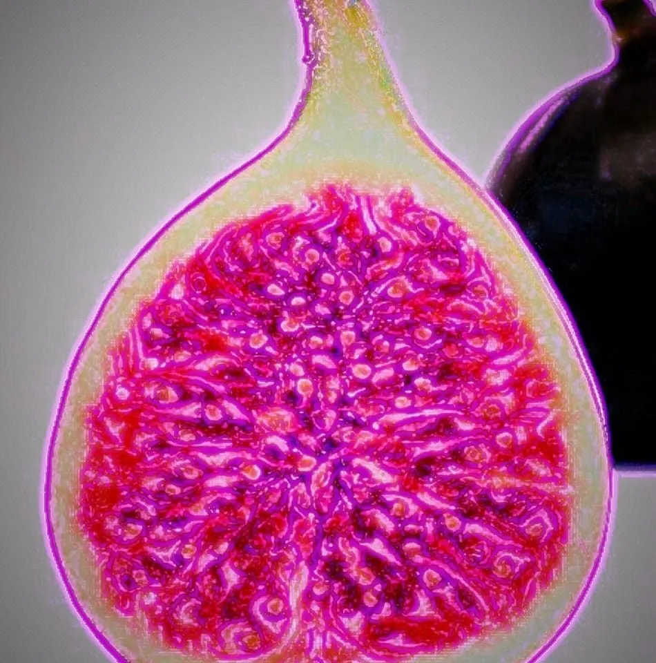 Slide of Mayhaw Fig Roofing