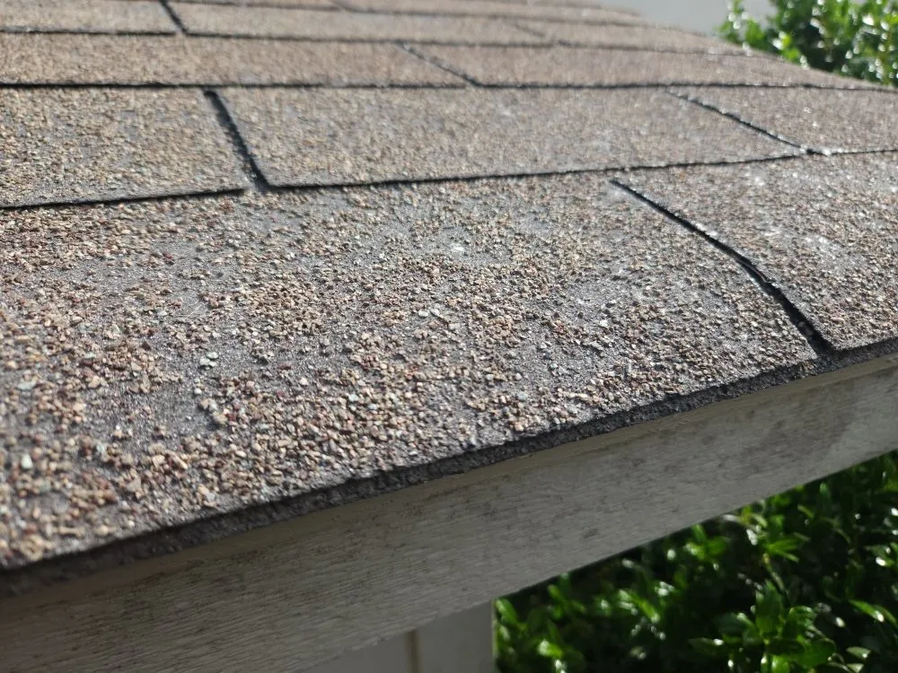 Slide of Mayhaw Fig Roofing