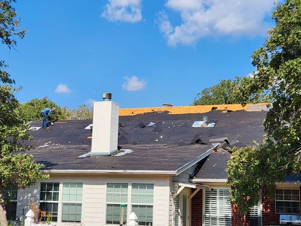 Slide of Mayhaw Fig Roofing