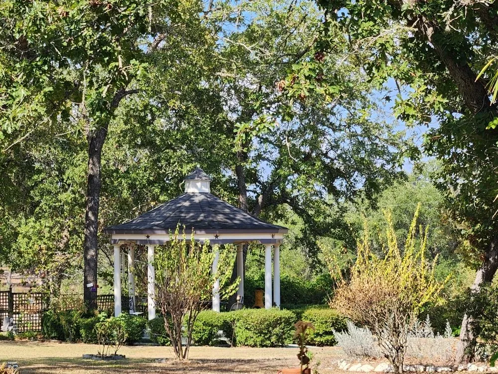 Slide of Mayhaw Fig Roofing
