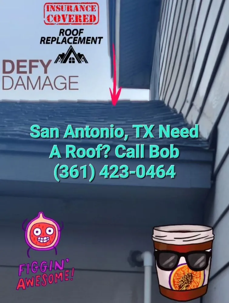 Slide of Mayhaw Fig Roofing