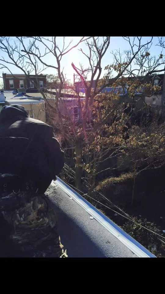 Slide of Mazzoni Roofing