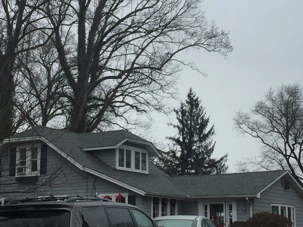 Slide of MBD Restoration