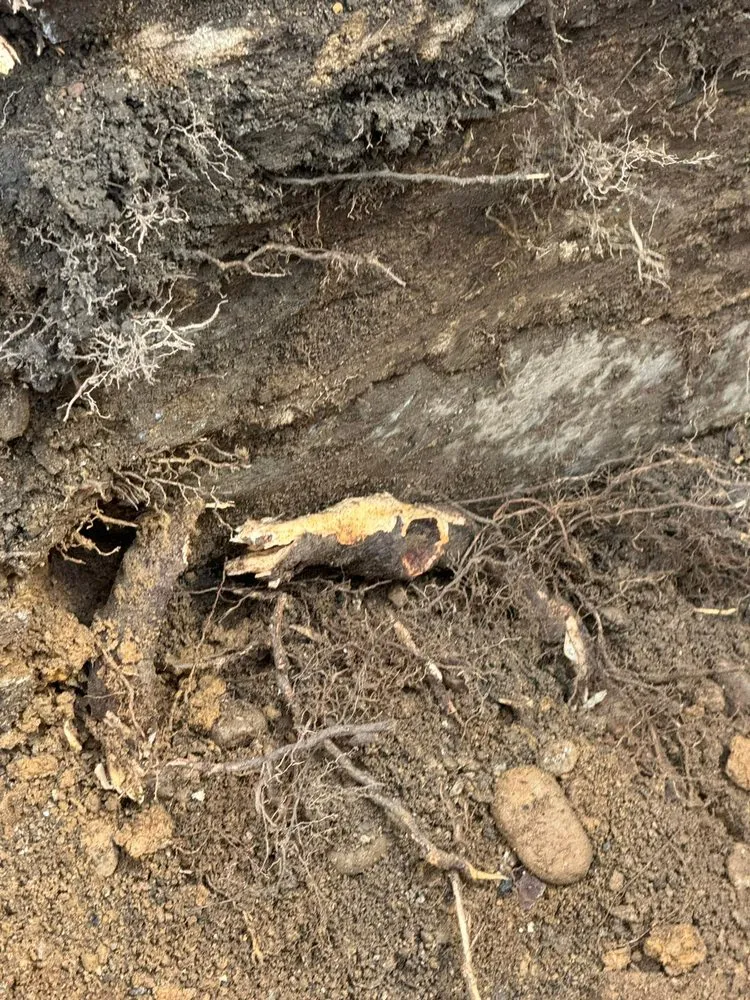 Slide of Mbh Roofing and Waterproofing