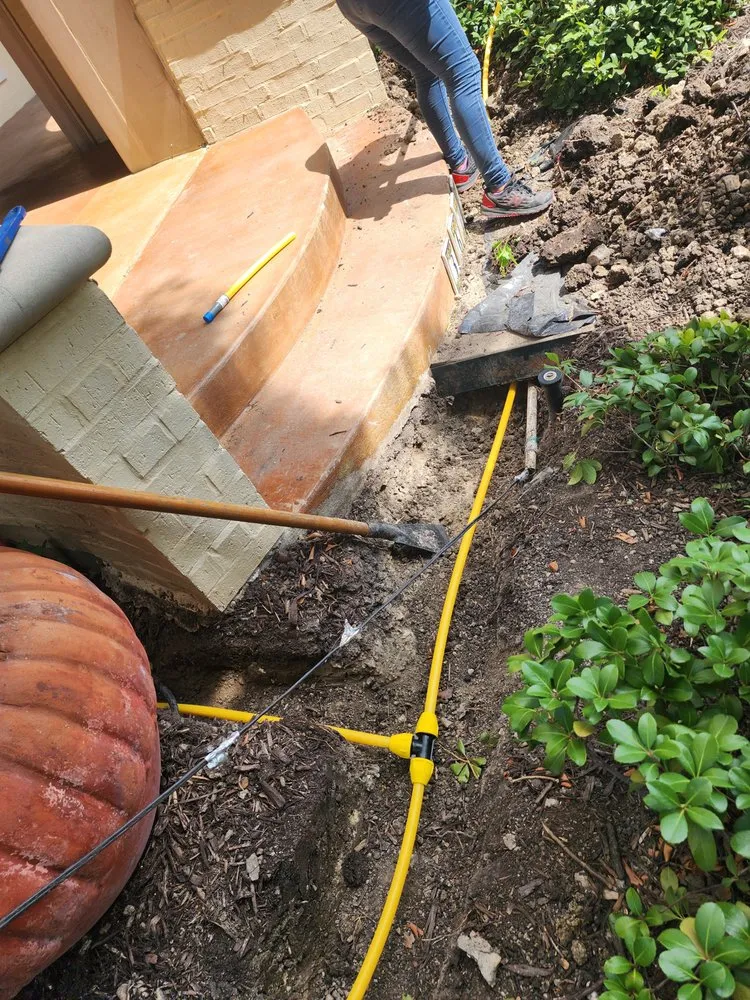 Slide of Mc Multiservice