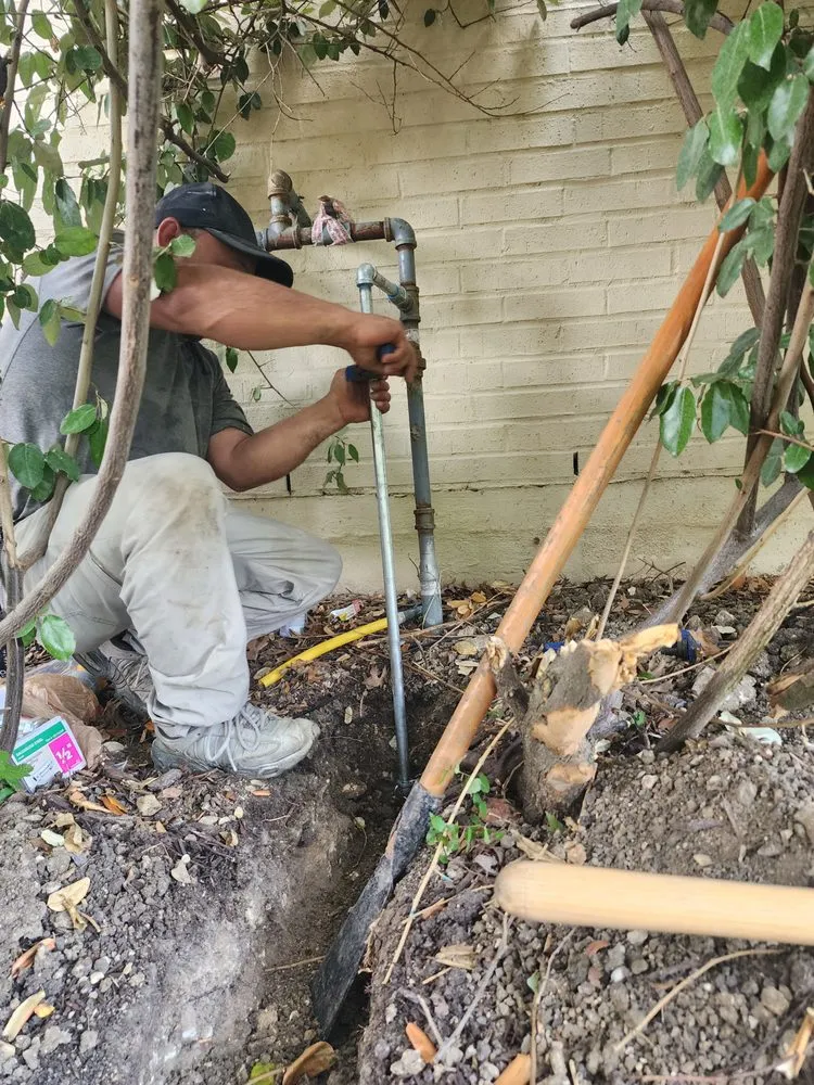 Slide of Mc Multiservice