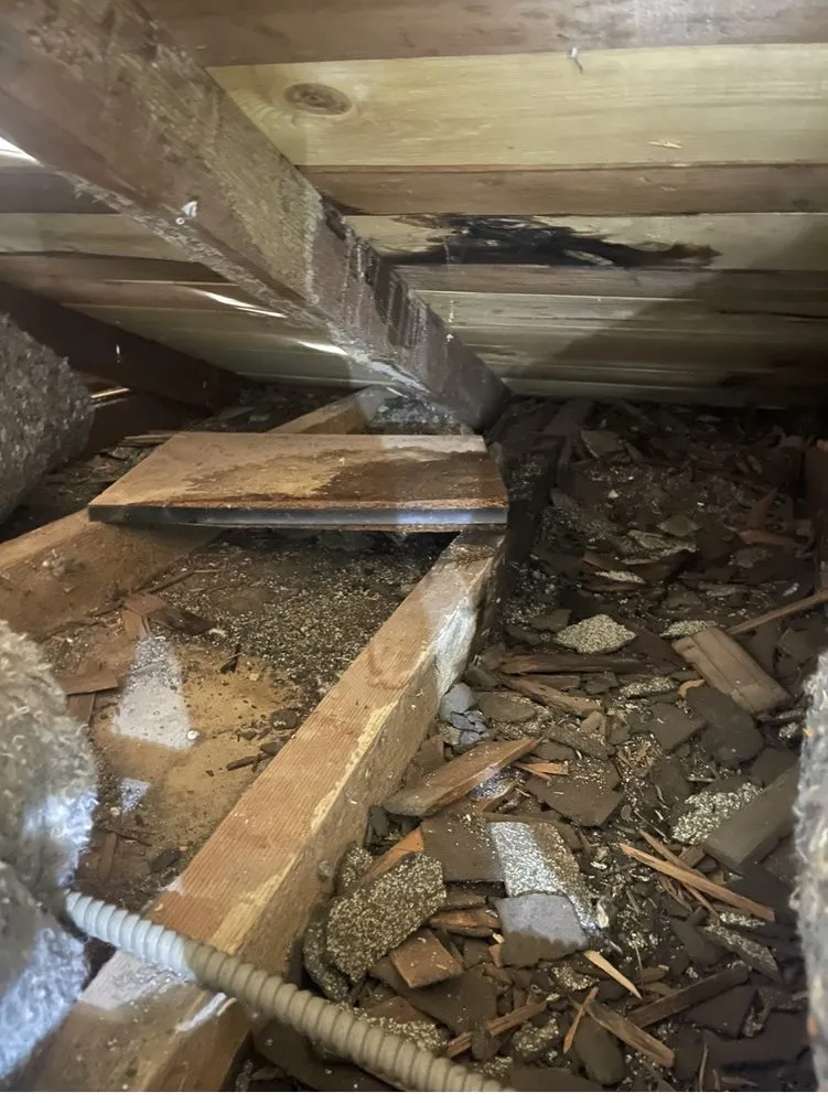 Slide of McCormack Roofing, Construction & Energy Solutions