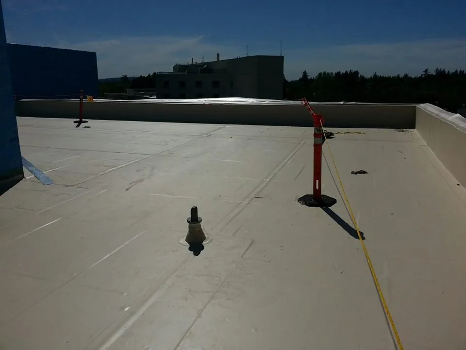 Slide of McDonald & Wetle