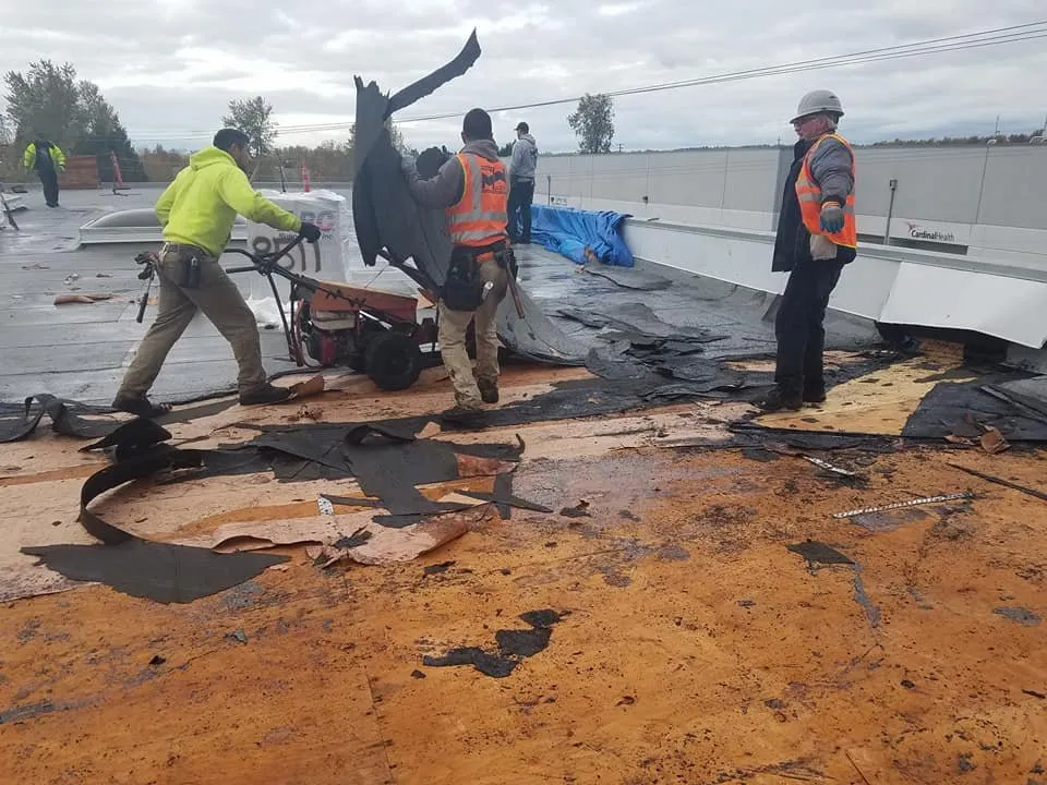 Slide of McDonald & Wetle