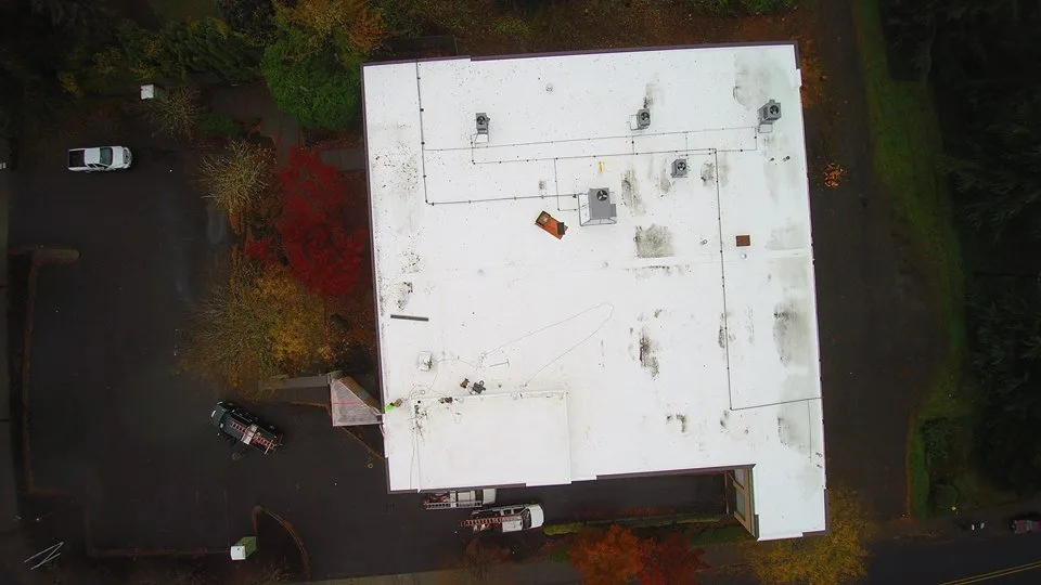 Slide of McDonald & Wetle