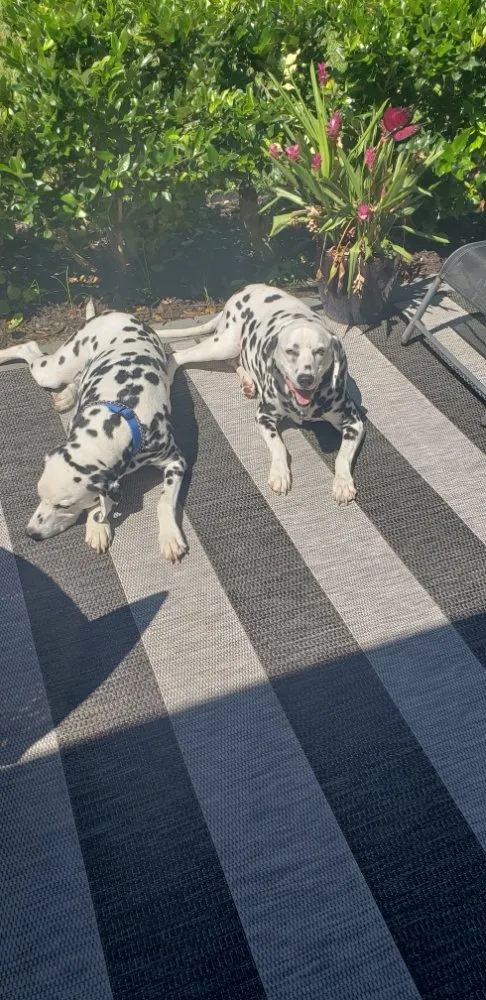 Slide of McGrath Roofing