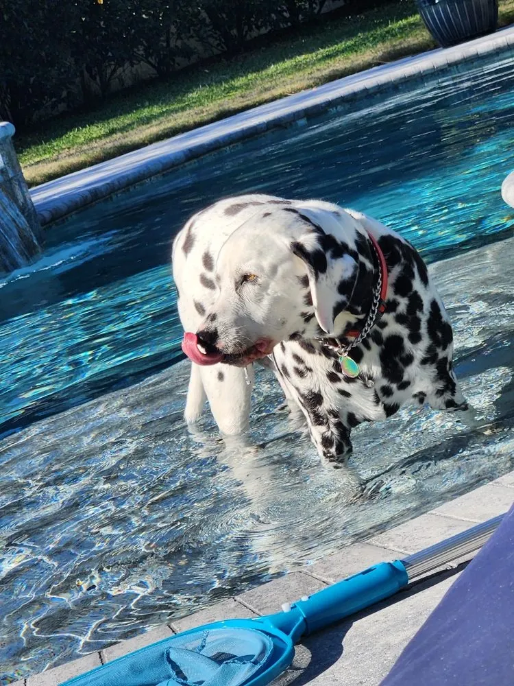 Slide of McGrath Roofing