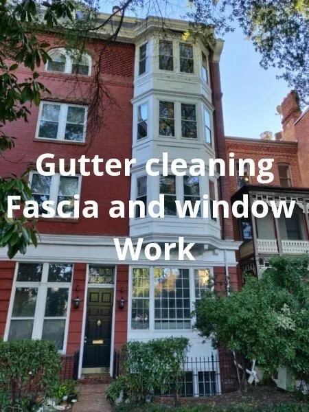 Slide of McIlwain Services