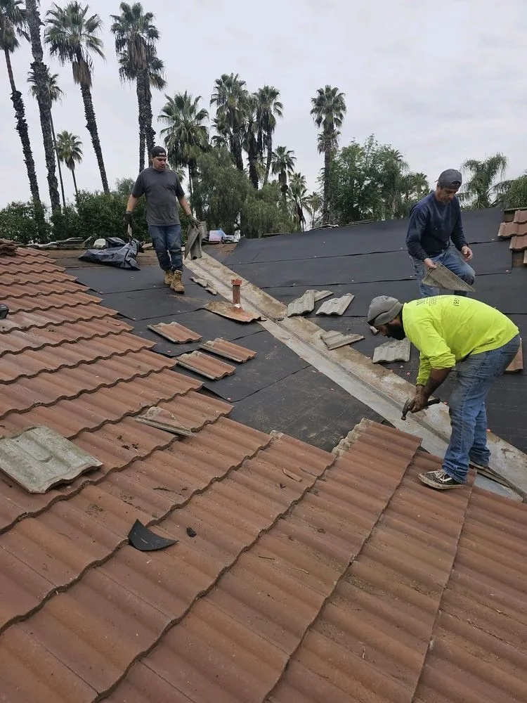 Slide of McIver’s Exterminators