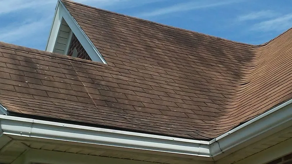 Slide of McKeel's Ugly Roof Stain Remover