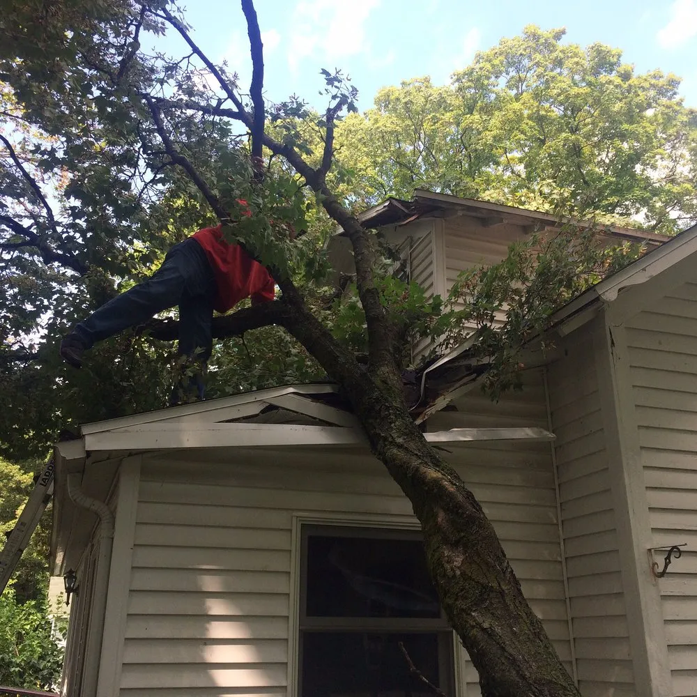 Slide of Mckenzies Roofing