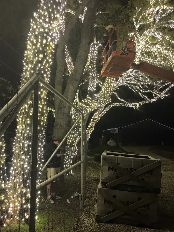 Slide of Mckinney Christmas Lights