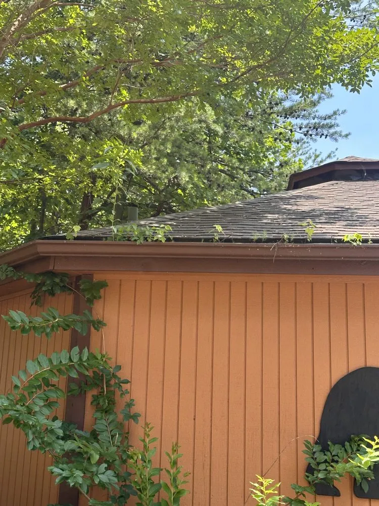 Slide of McKinney of all trades