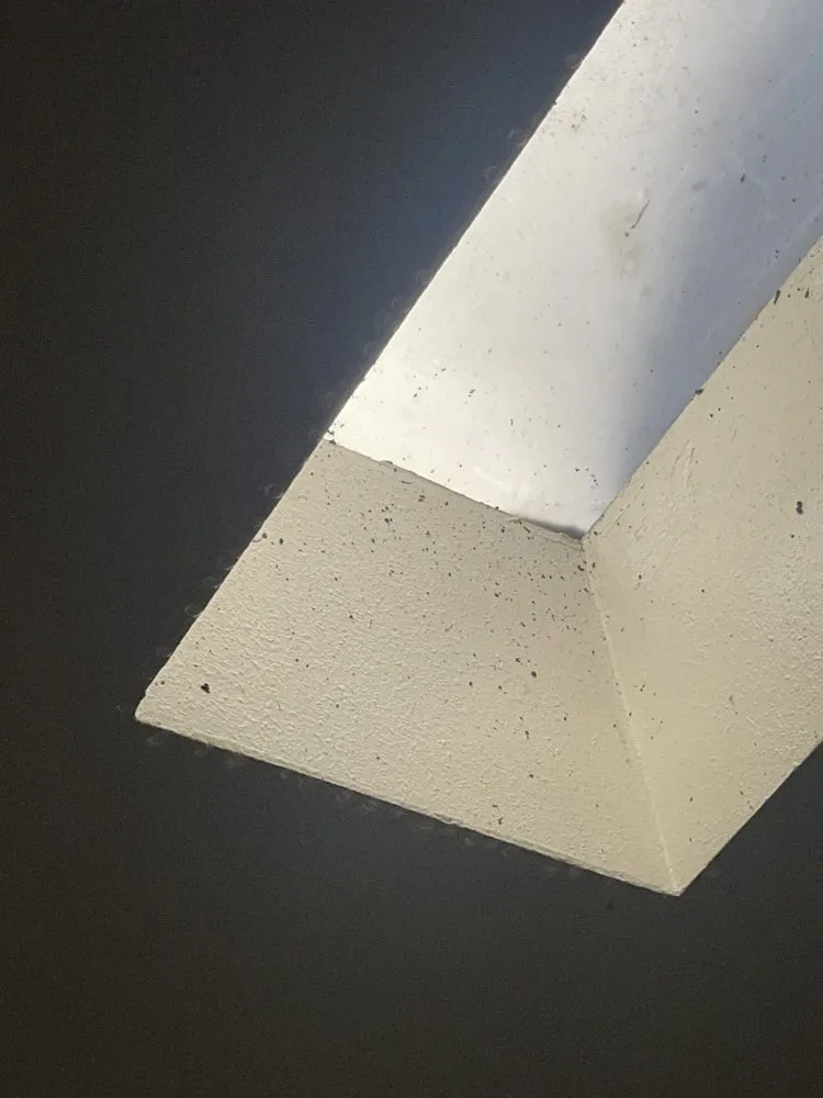 Slide of MCM Roofing