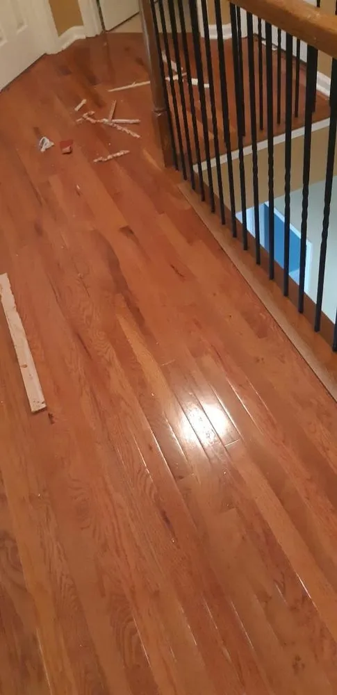 Slide of MD Color Splash