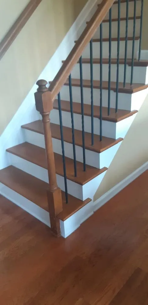 Slide of MD Color Splash