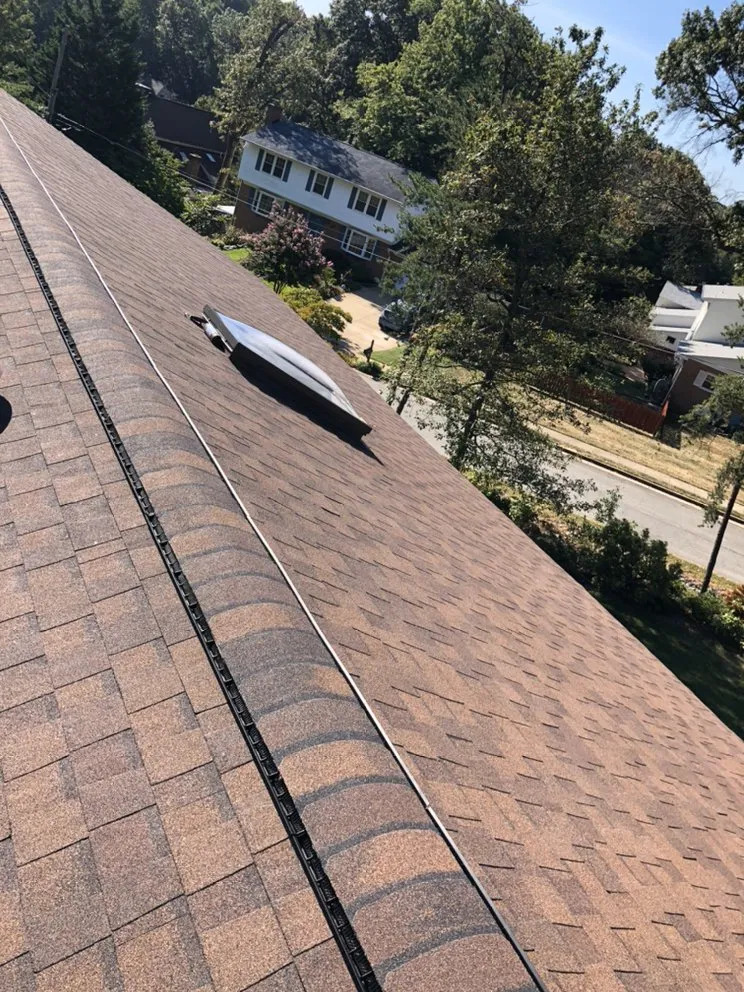 Slide of MDM Restoration