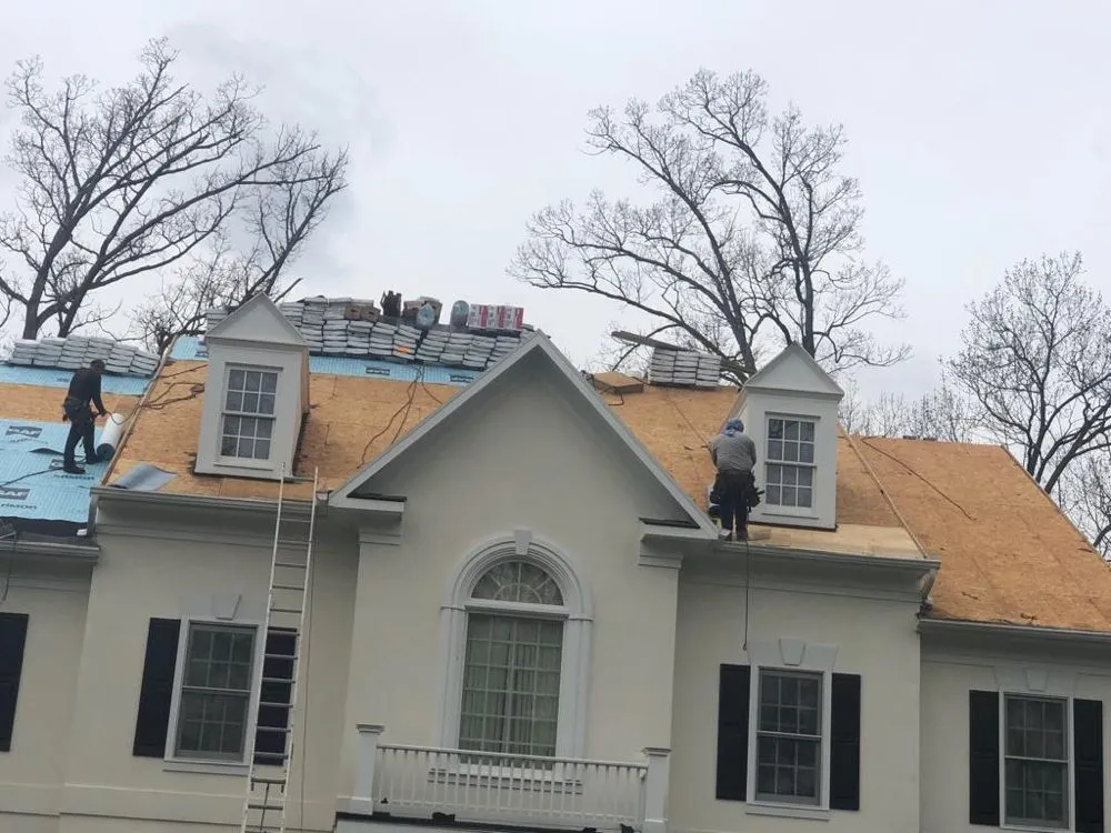 Slide of MDM Restoration