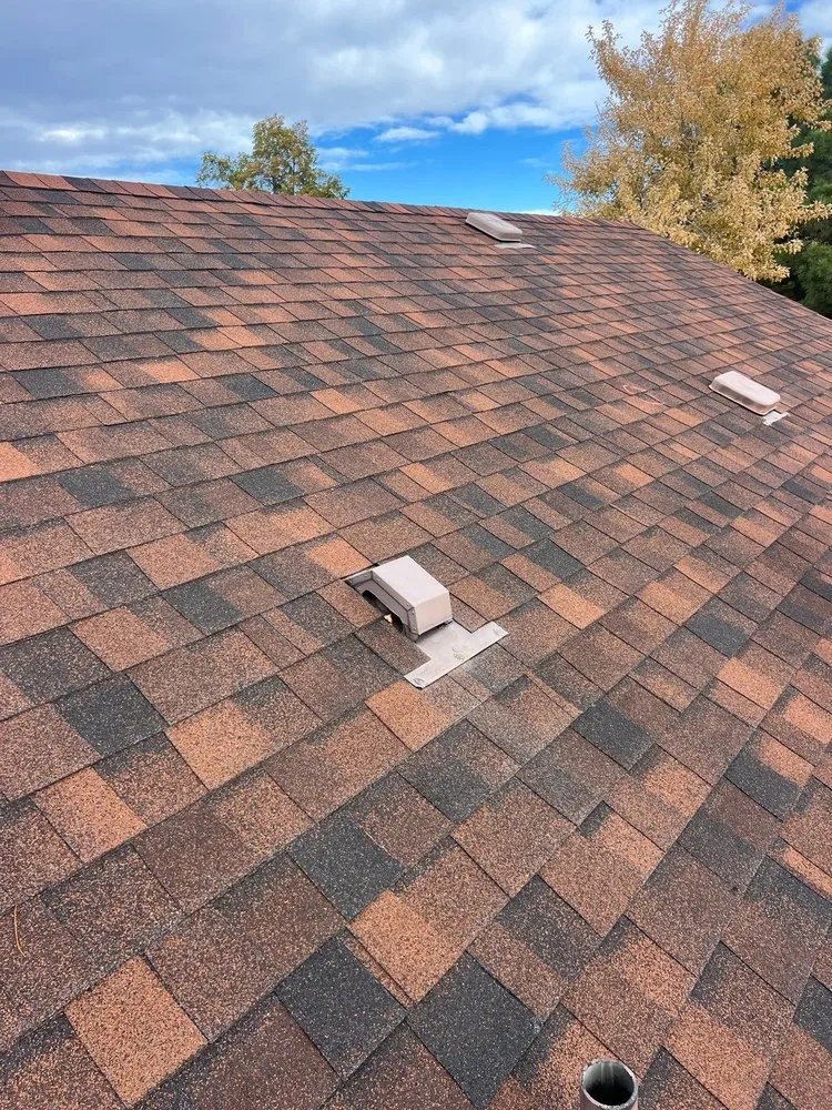 Slide of MDZ Roofing